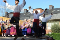 plaza-jose-miguel-gerra-tanos_112