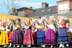 plaza-jose-miguel-gerra-tanos_114