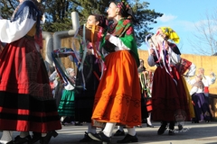 plaza-jose-miguel-gerra-tanos_120
