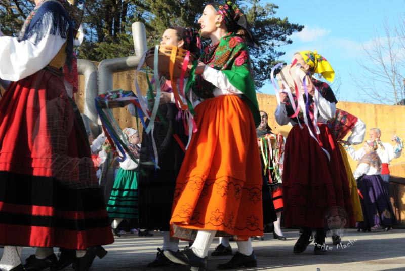 plaza-jose-miguel-gerra-tanos_120