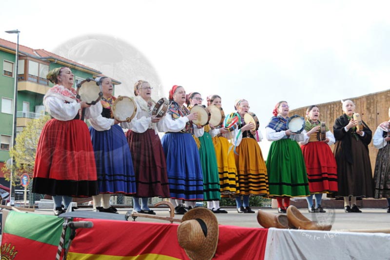 plaza-jose-miguel-gerra-tanos_137