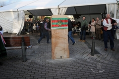 plaza-jose-miguel-gerra-tanos_149