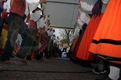plaza-jose-miguel-gerra-tanos_181