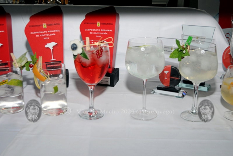 concurso-cocteleria-2023_164_01