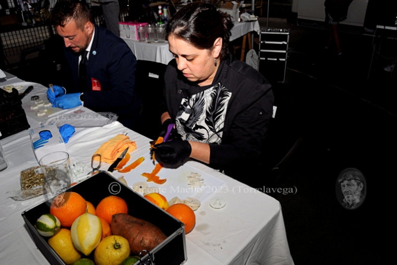 concurso-cocteleria-2023_228_01