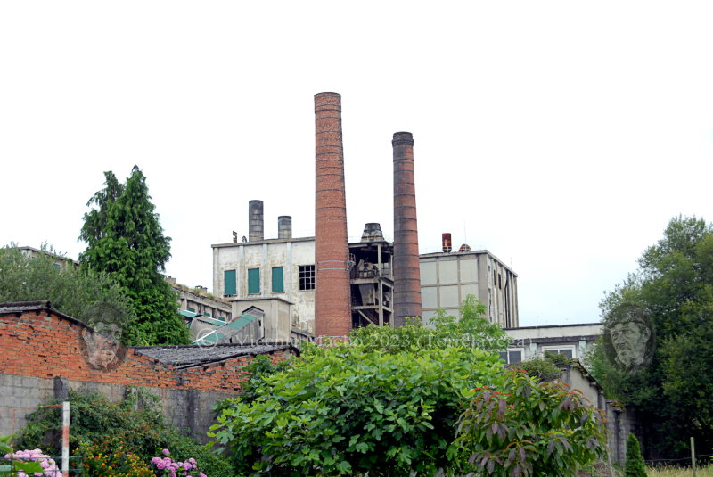 san-pelayo-2023_274