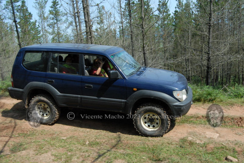 atv-trasgos2023_206