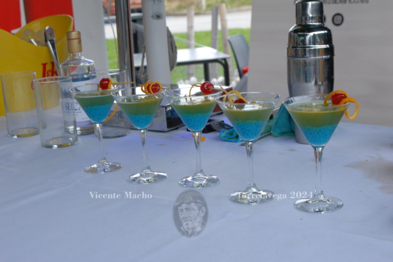concurso-cocteleria-2024_440