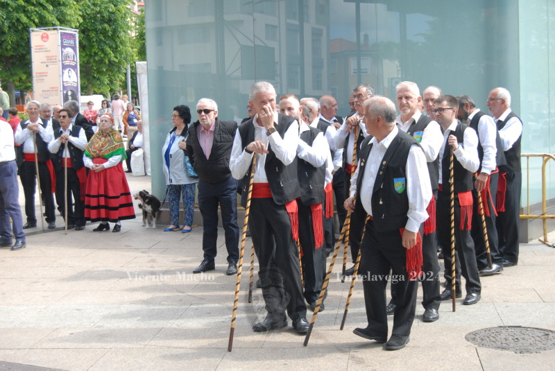 feria-coral-24_117