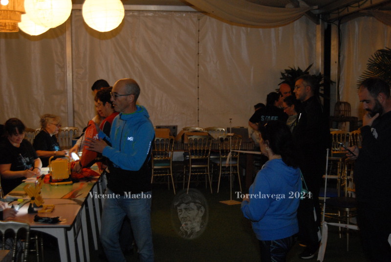 adamo-night_308