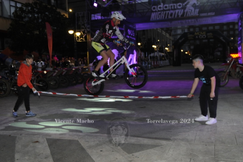 adamo-night_365