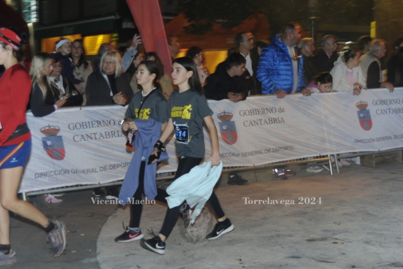 adamo-night_522