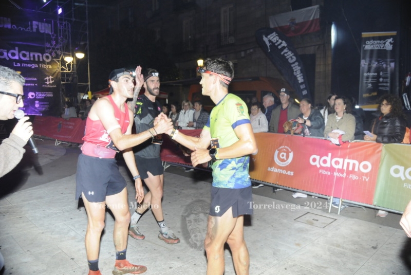 adamo-night_537
