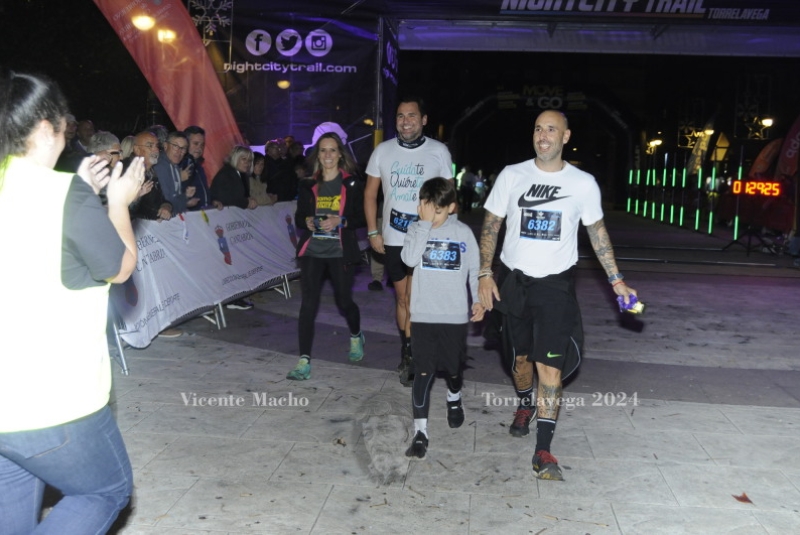 adamo-night_540