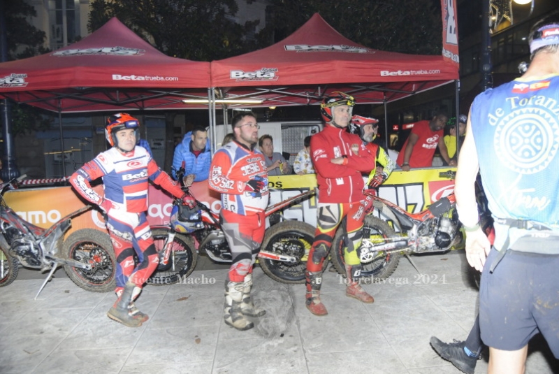 adamo-night_547