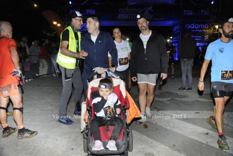 adamo-night_594