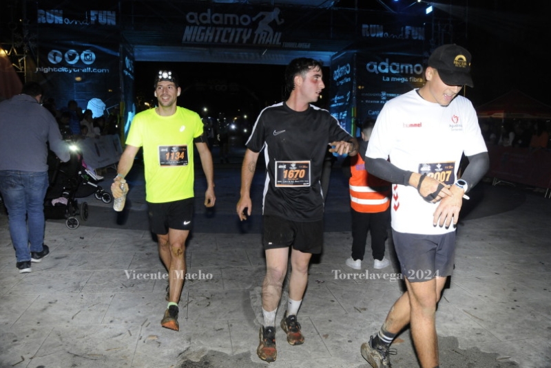 adamo-night_616