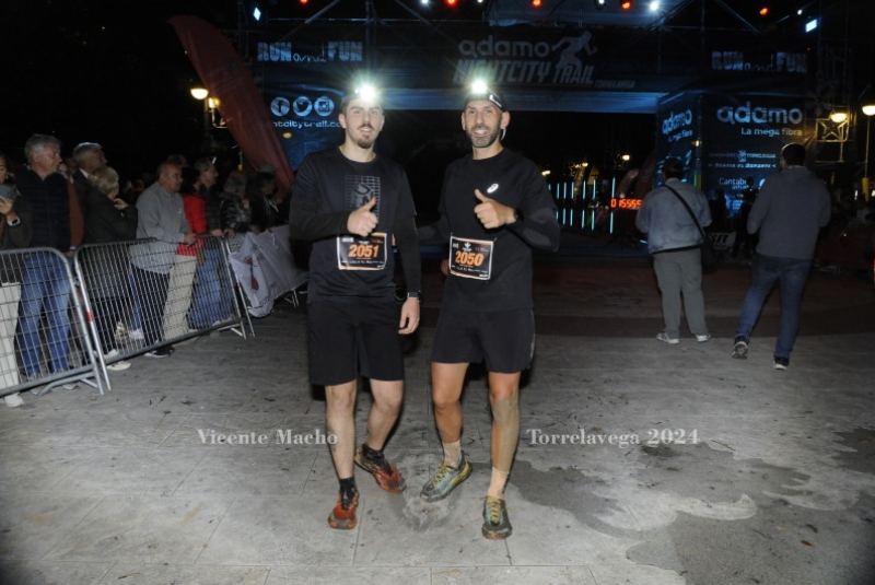 adamo-night_620